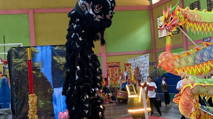 Salah satu peserta Festival Barongsai Tradisional menampilkan atraksi