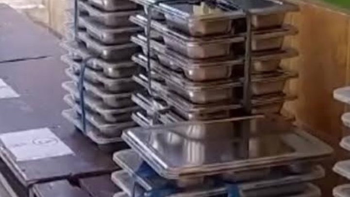 Ilustrasi Makan Bergizi Gratis (MBG). Foto : Google