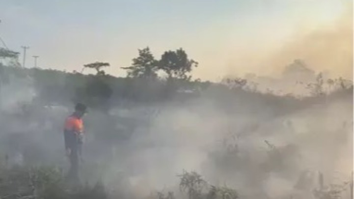 Kebakaran Hutan dan Lahan di Kota Singkawang. Foto (ist)