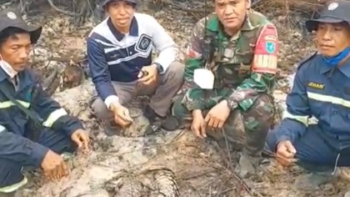Tim gabungan temuka tiga ekor trenggiling yang mati di lokasi karhutla, Kamis (17/9/2026). Foto (ist)